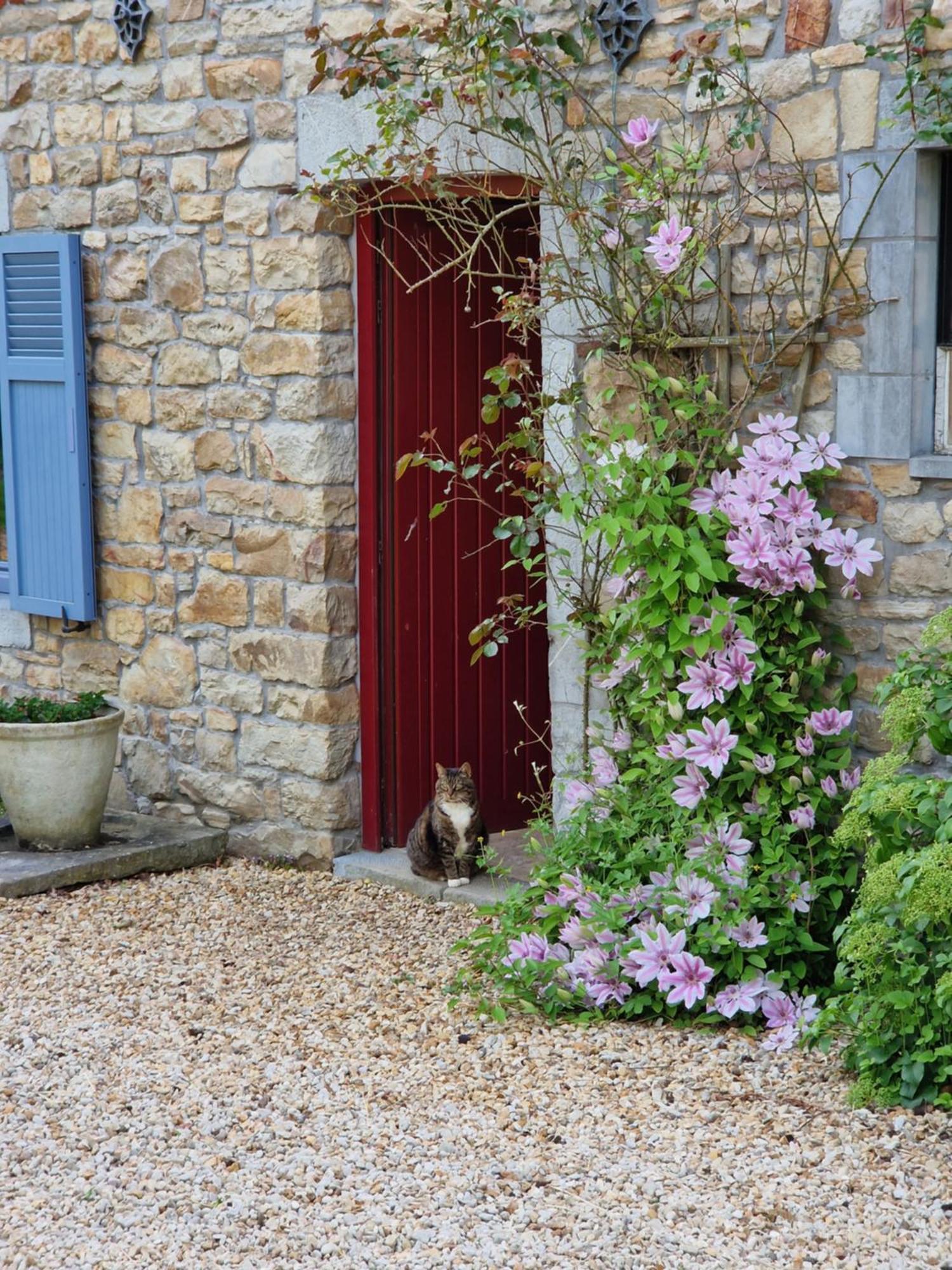 Bed and Breakfast Habitat Momignies Exterior foto